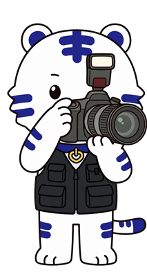사진과 캐릭터